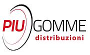 Logo of Piugomme Distribuzioni Srl